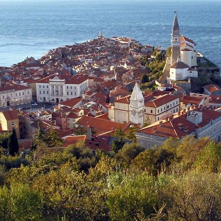 Sea View Istrian Countryside Apartment - Rota Dragonja 外观 照片
