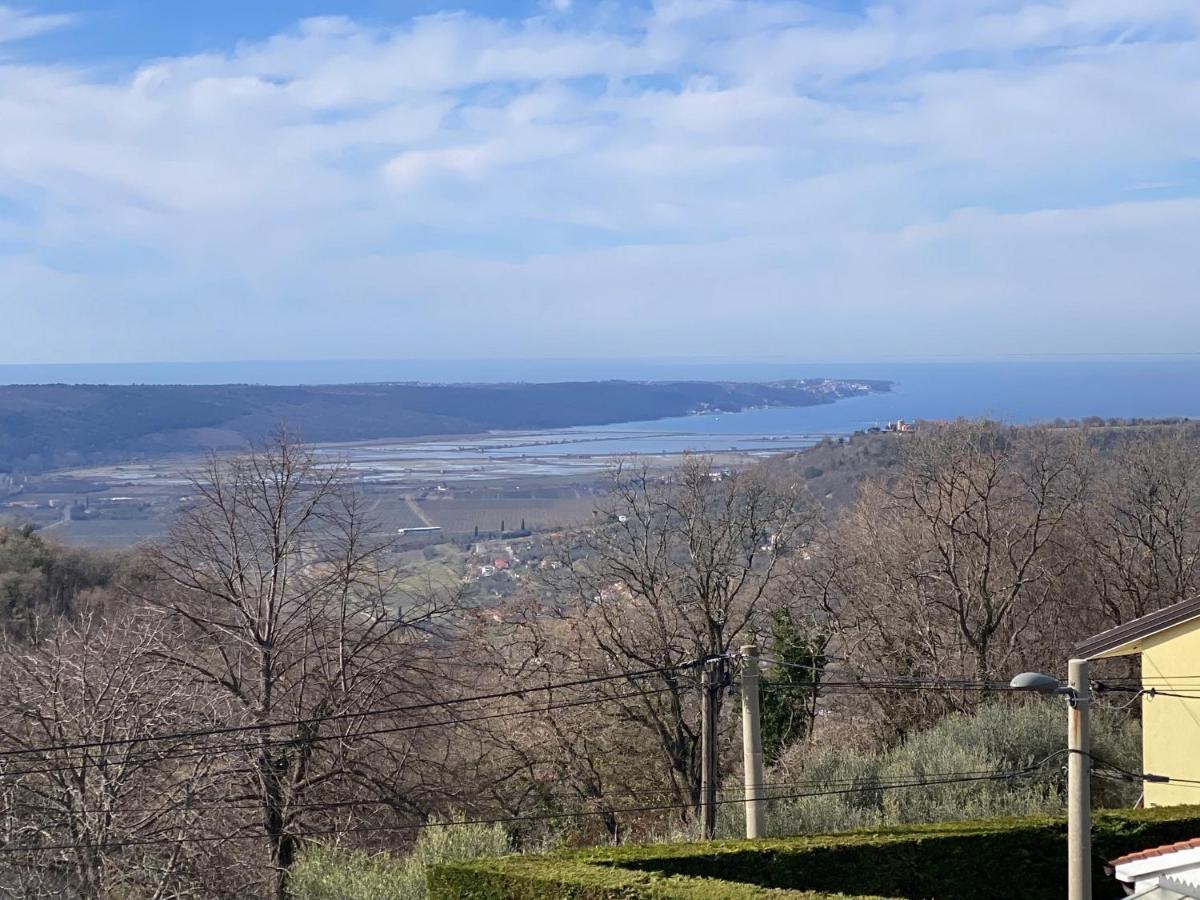 Sea View Istrian Countryside Apartment - Rota Dragonja 外观 照片