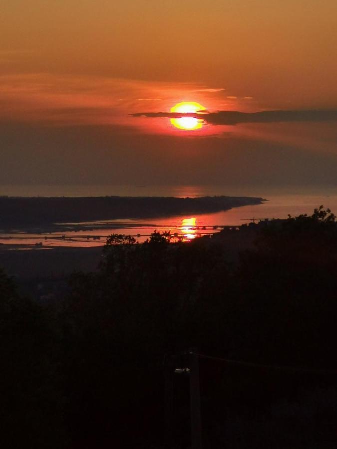 Sea View Istrian Countryside Apartment - Rota Dragonja 外观 照片