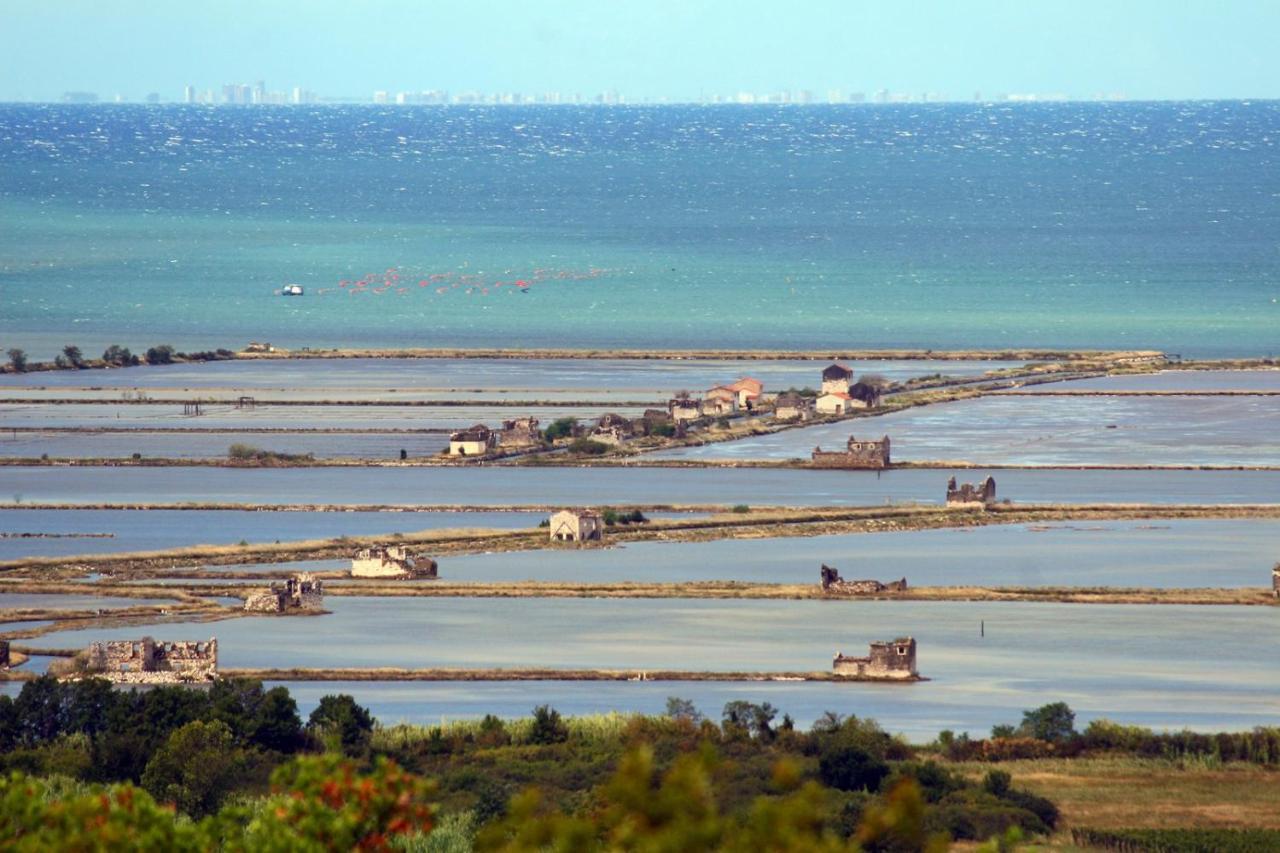 Sea View Istrian Countryside Apartment - Rota Dragonja 外观 照片