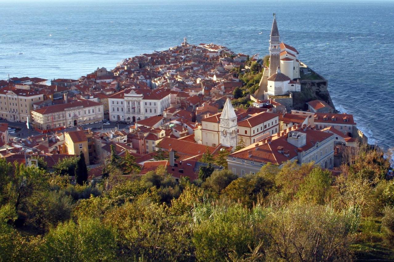 Sea View Istrian Countryside Apartment - Rota Dragonja 外观 照片