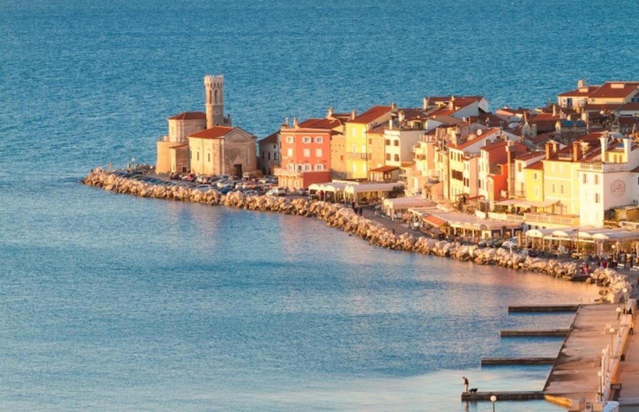 Sea View Istrian Countryside Apartment - Rota Dragonja 外观 照片
