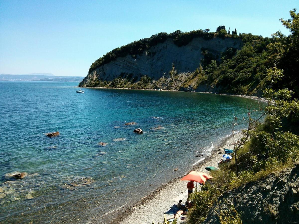 Sea View Istrian Countryside Apartment - Rota Dragonja 外观 照片